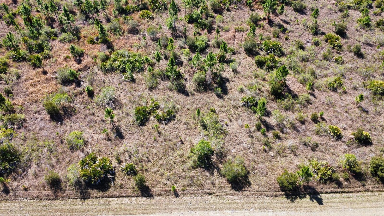 0 Althea Dr Property Photo 3