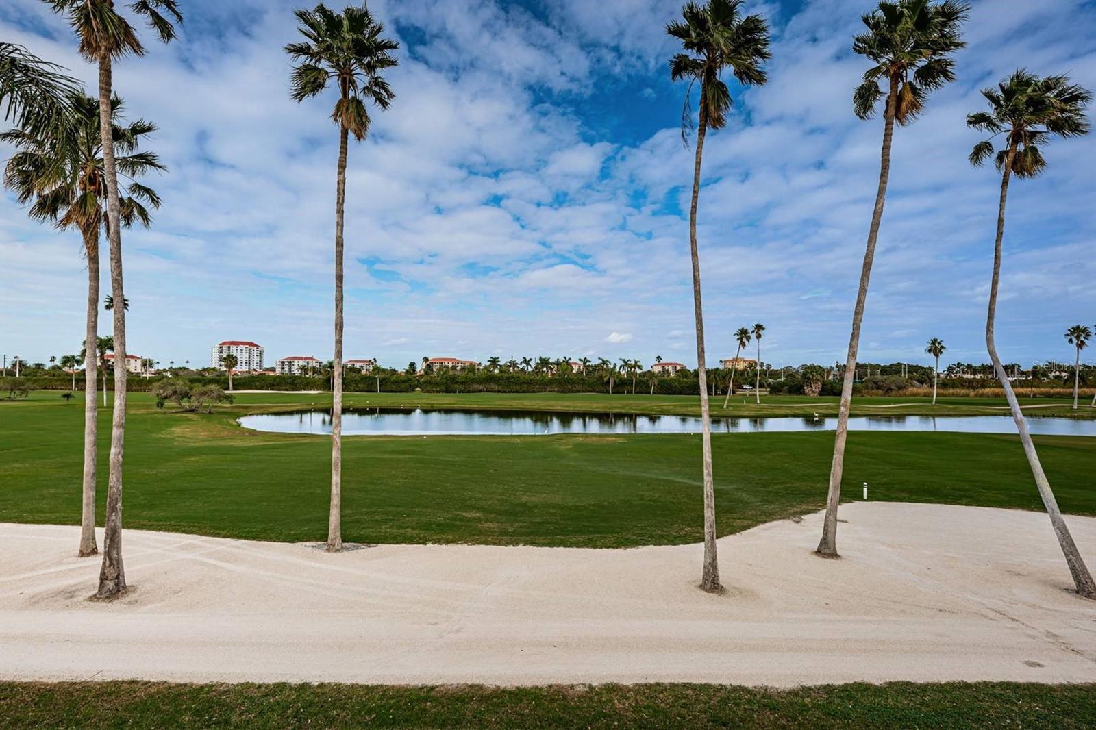 6141 Bahia Del Mar Blvd #229 Property Photo 3