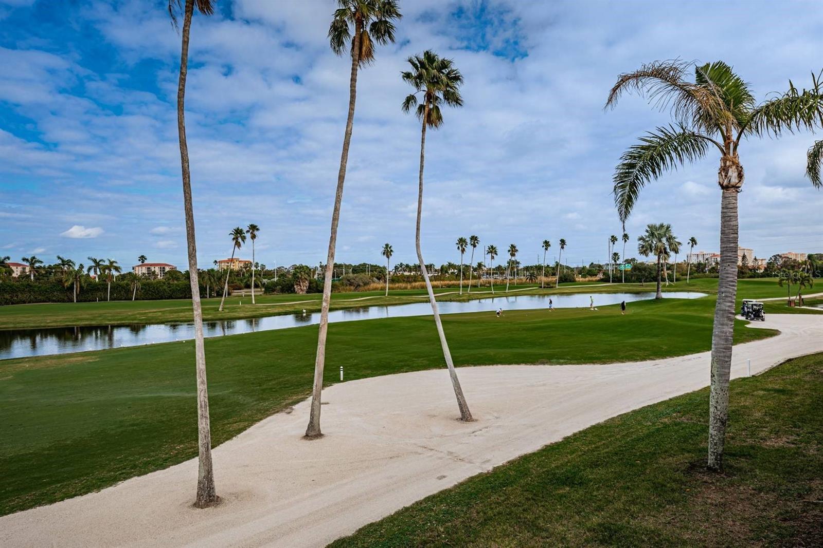 6141 Bahia Del Mar Blvd #229 Property Photo 23