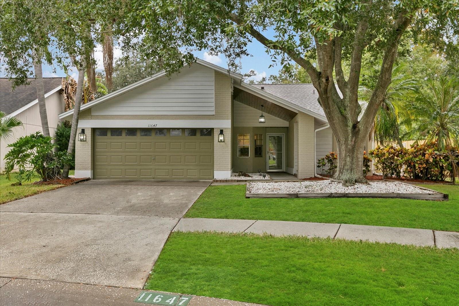 11647 Fox Creek Dr Property Photo 1
