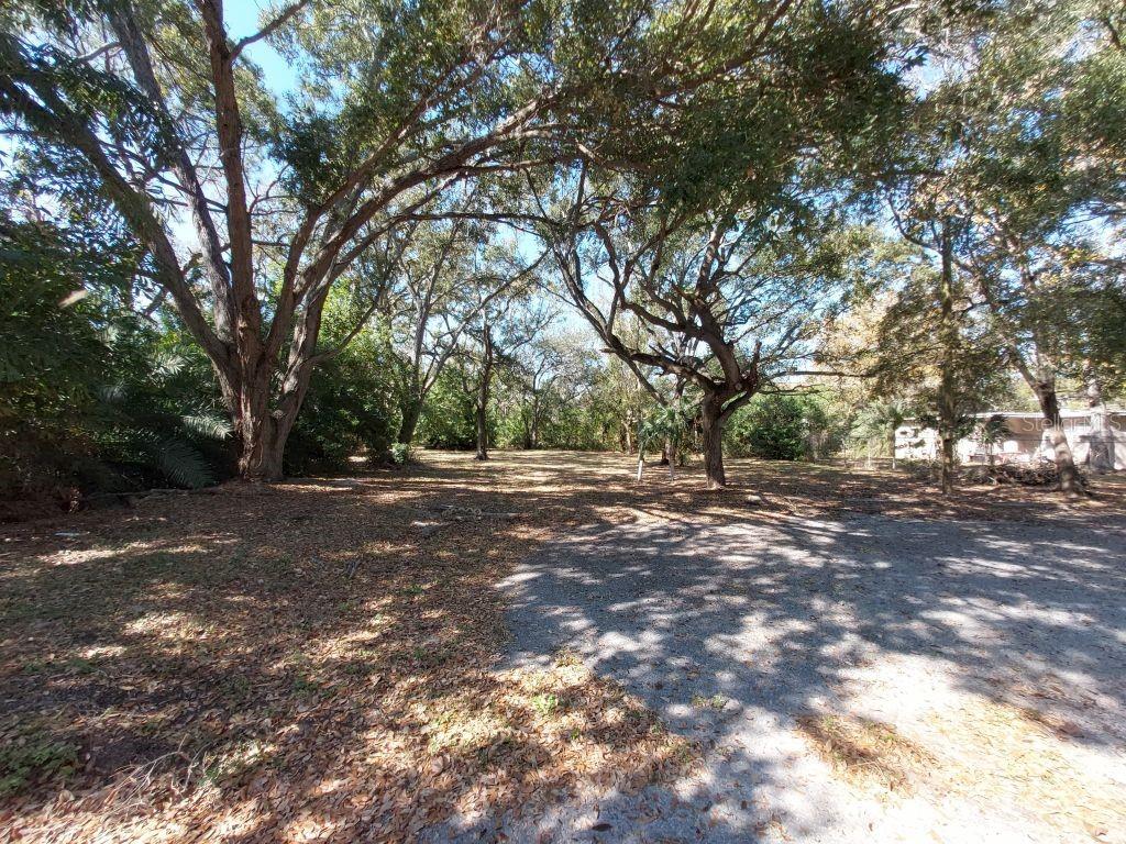 11400 Us Highway 19 N Property Photo 10