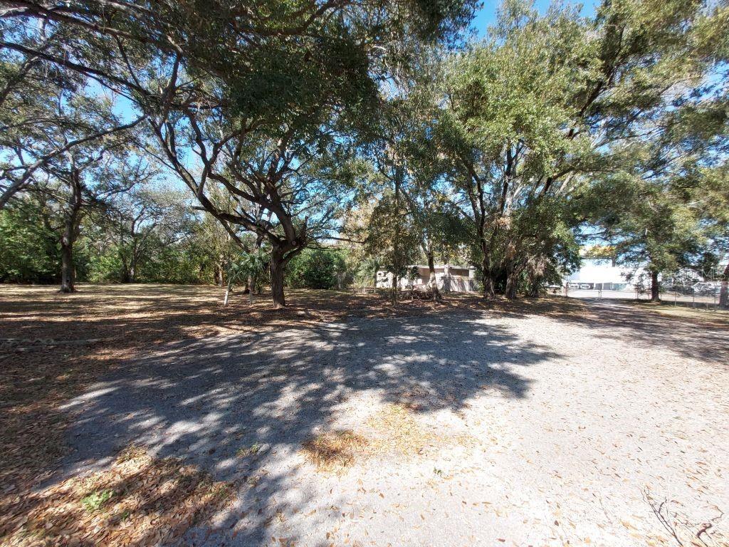 11400 Us Highway 19 N Property Photo 11