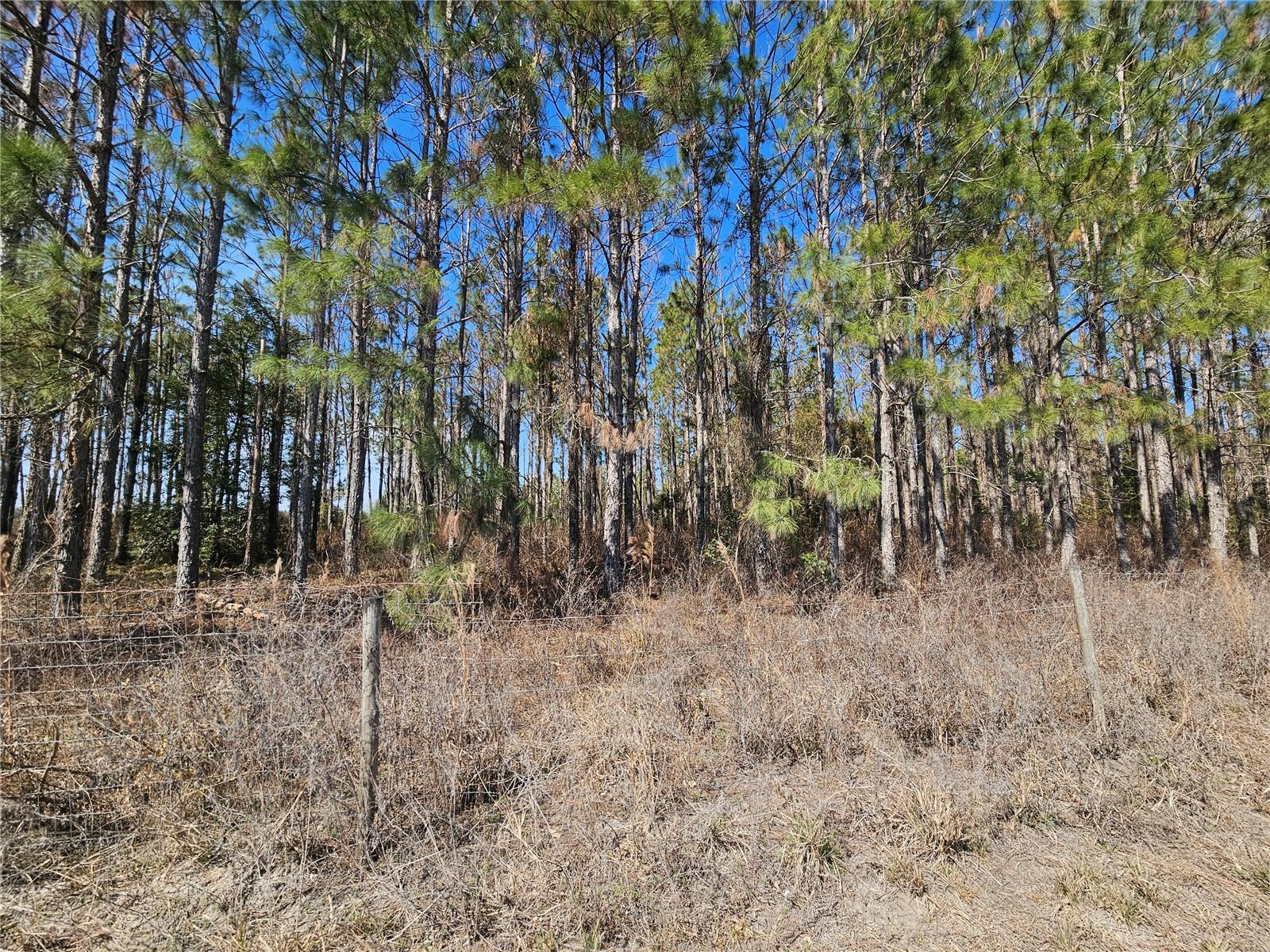 13308 Duck Lake Canal Rd Property Photo 38