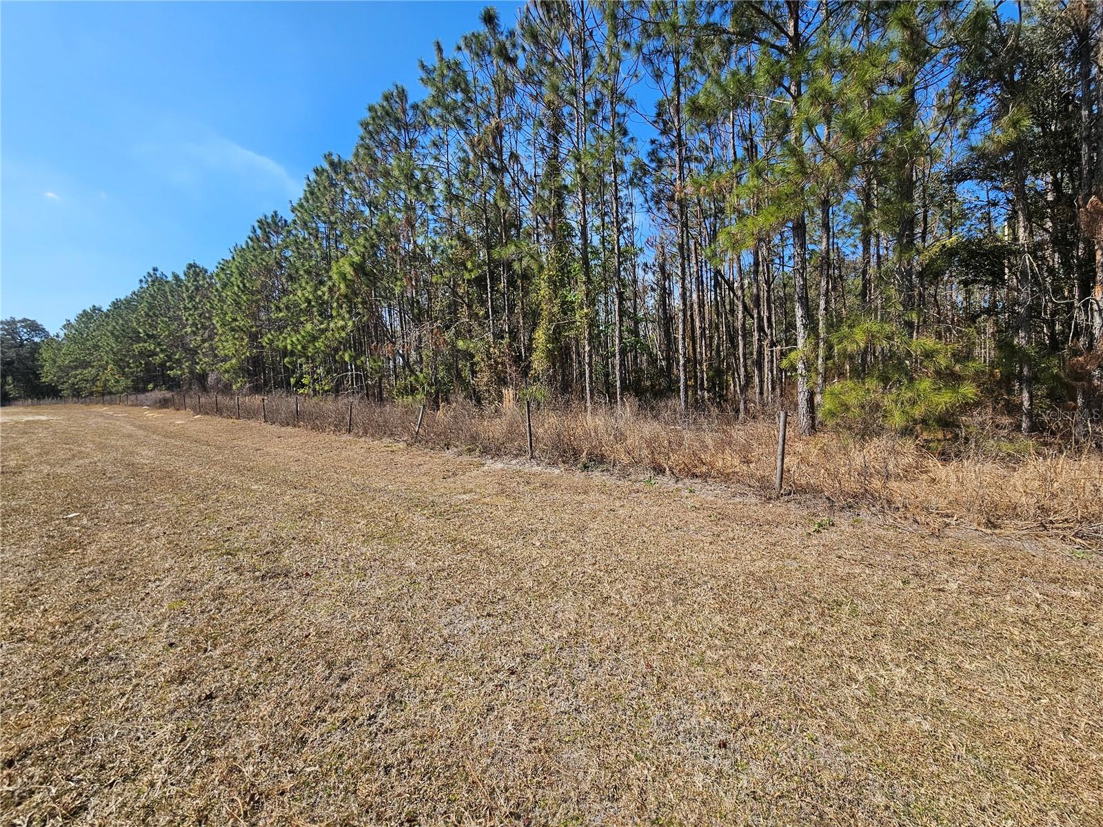 13308 Duck Lake Canal Rd Property Photo 39