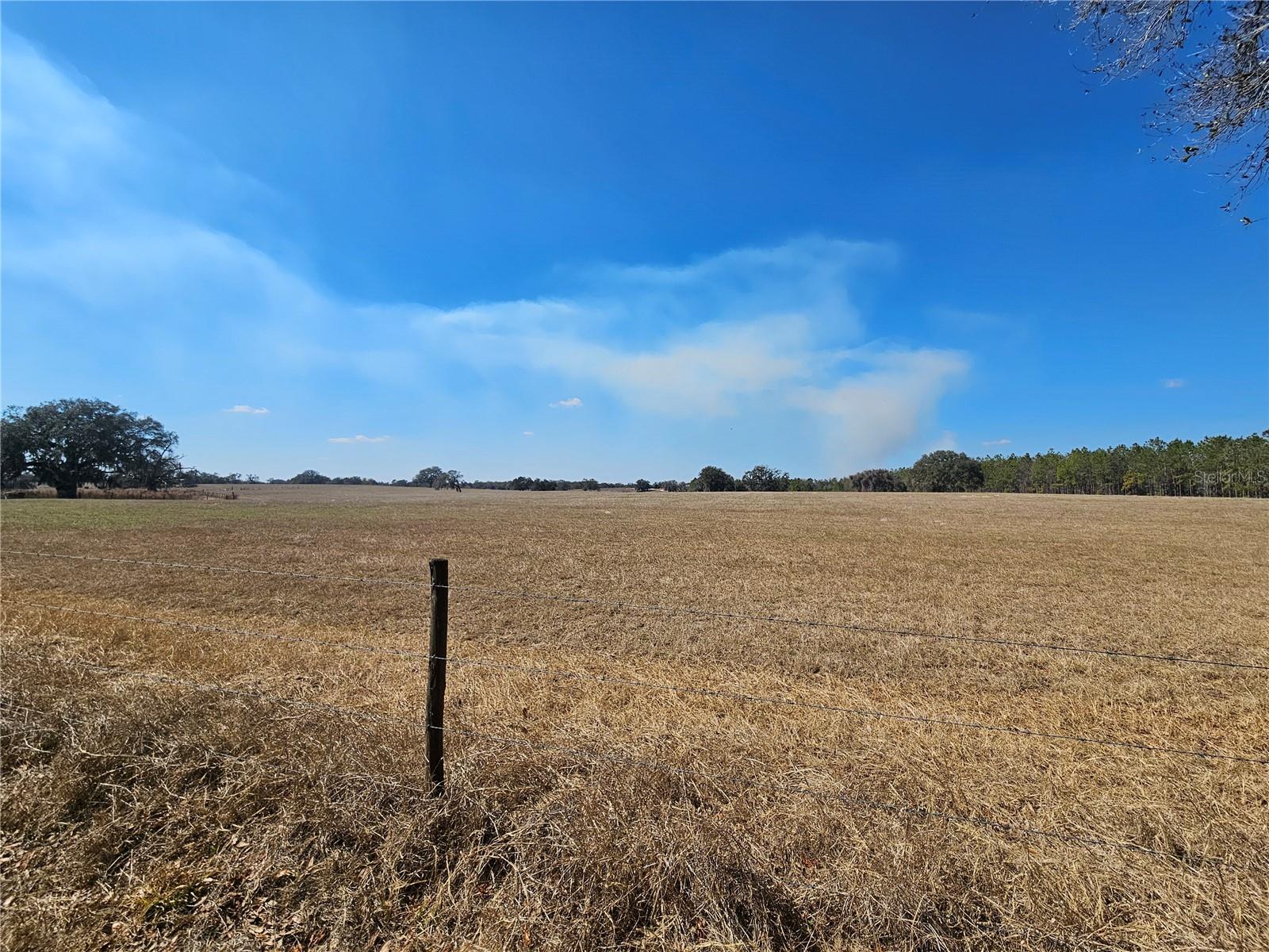 13308 Duck Lake Canal Rd Property Photo 41