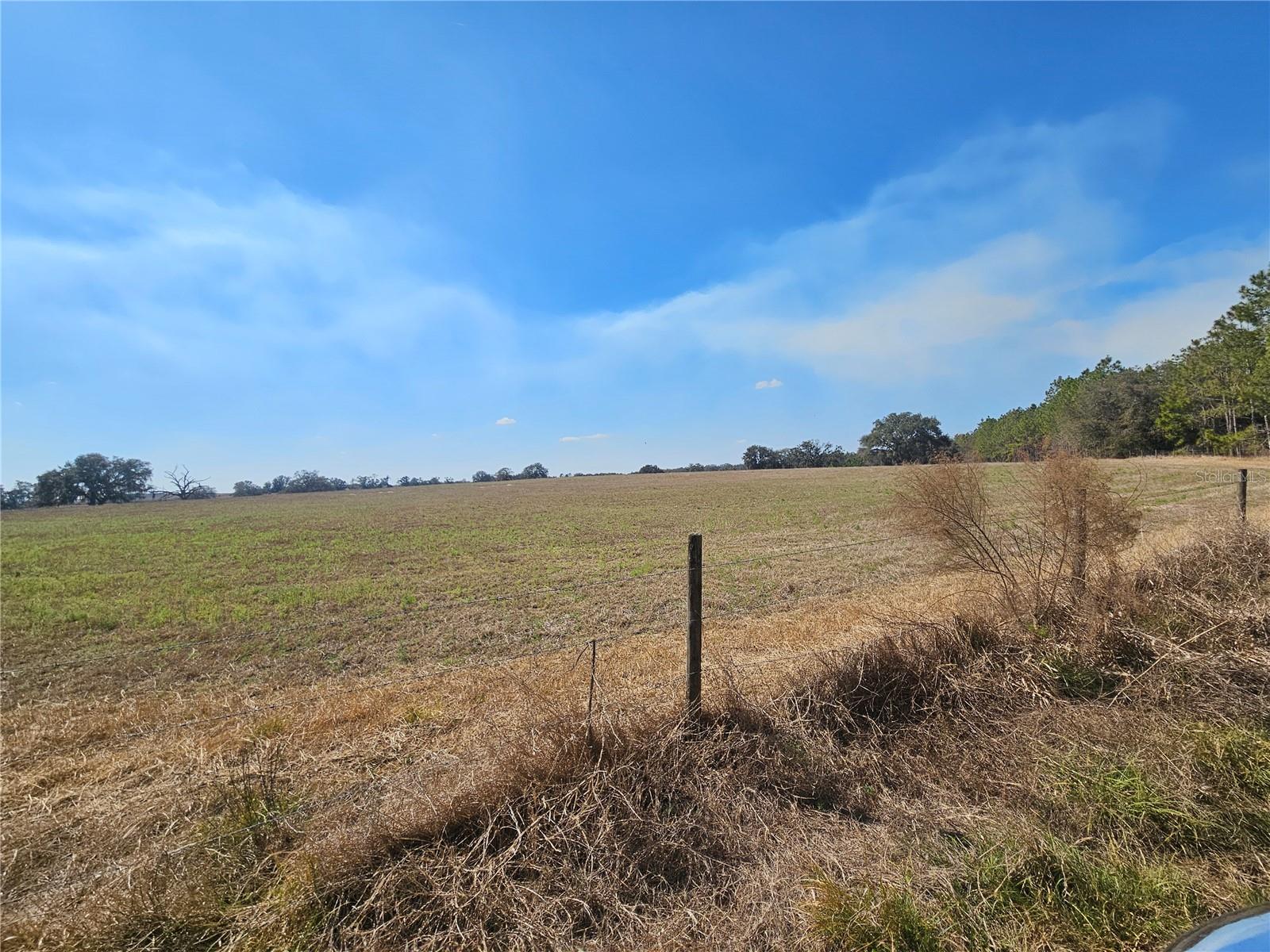 13308 Duck Lake Canal Rd Property Photo 42
