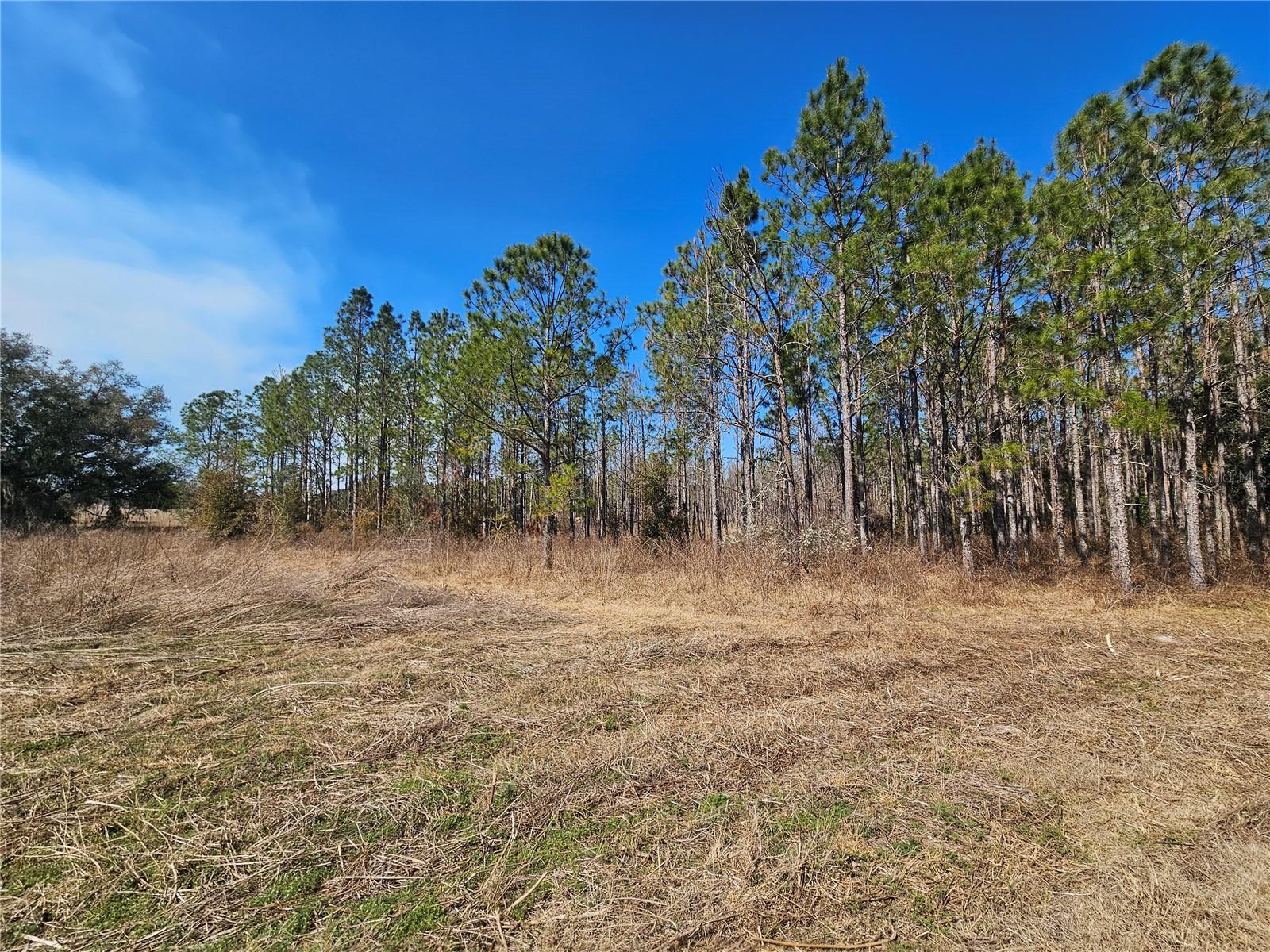 13308 Duck Lake Canal Rd Property Photo 43