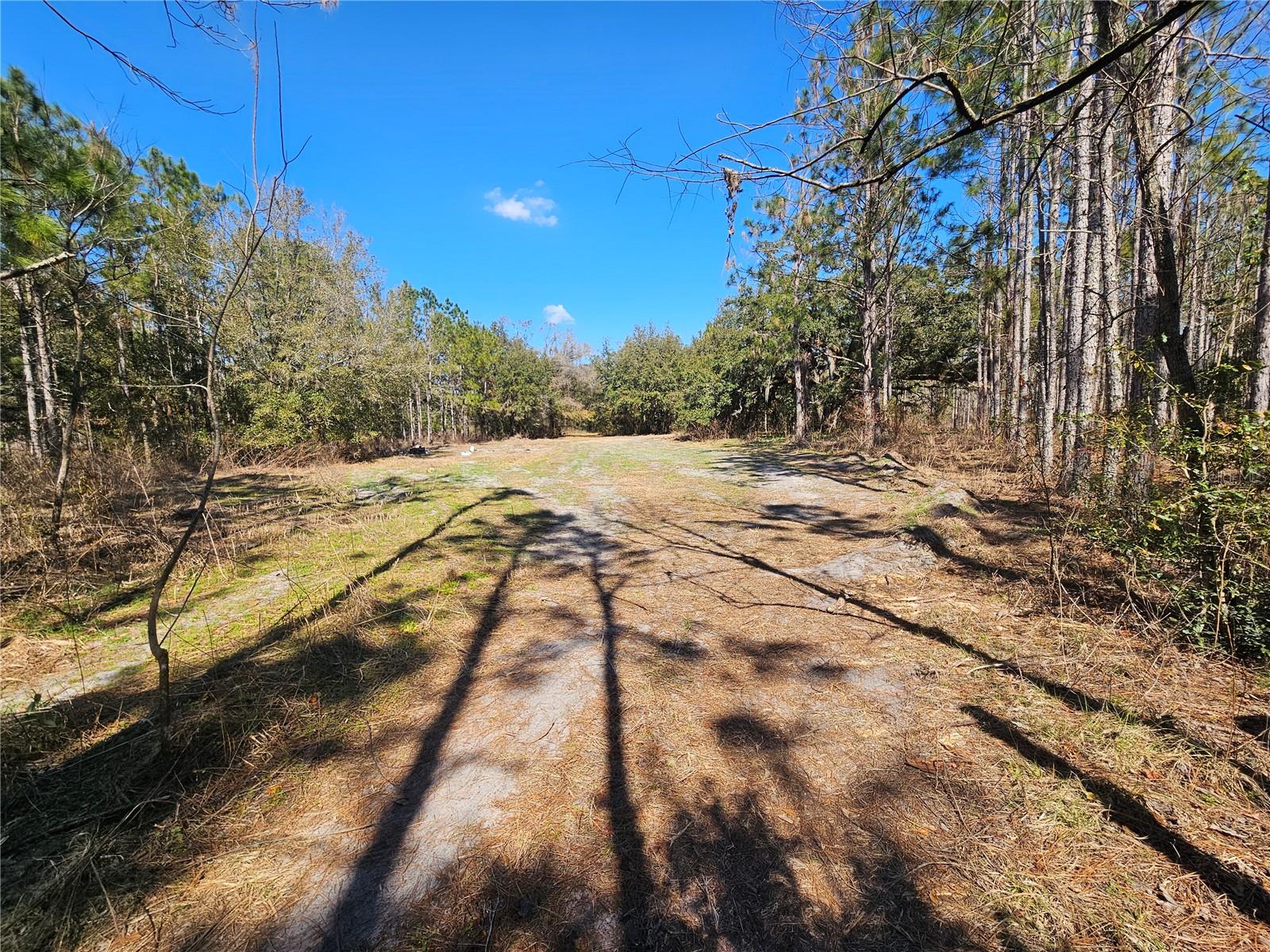 13308 Duck Lake Canal Rd Property Photo 44