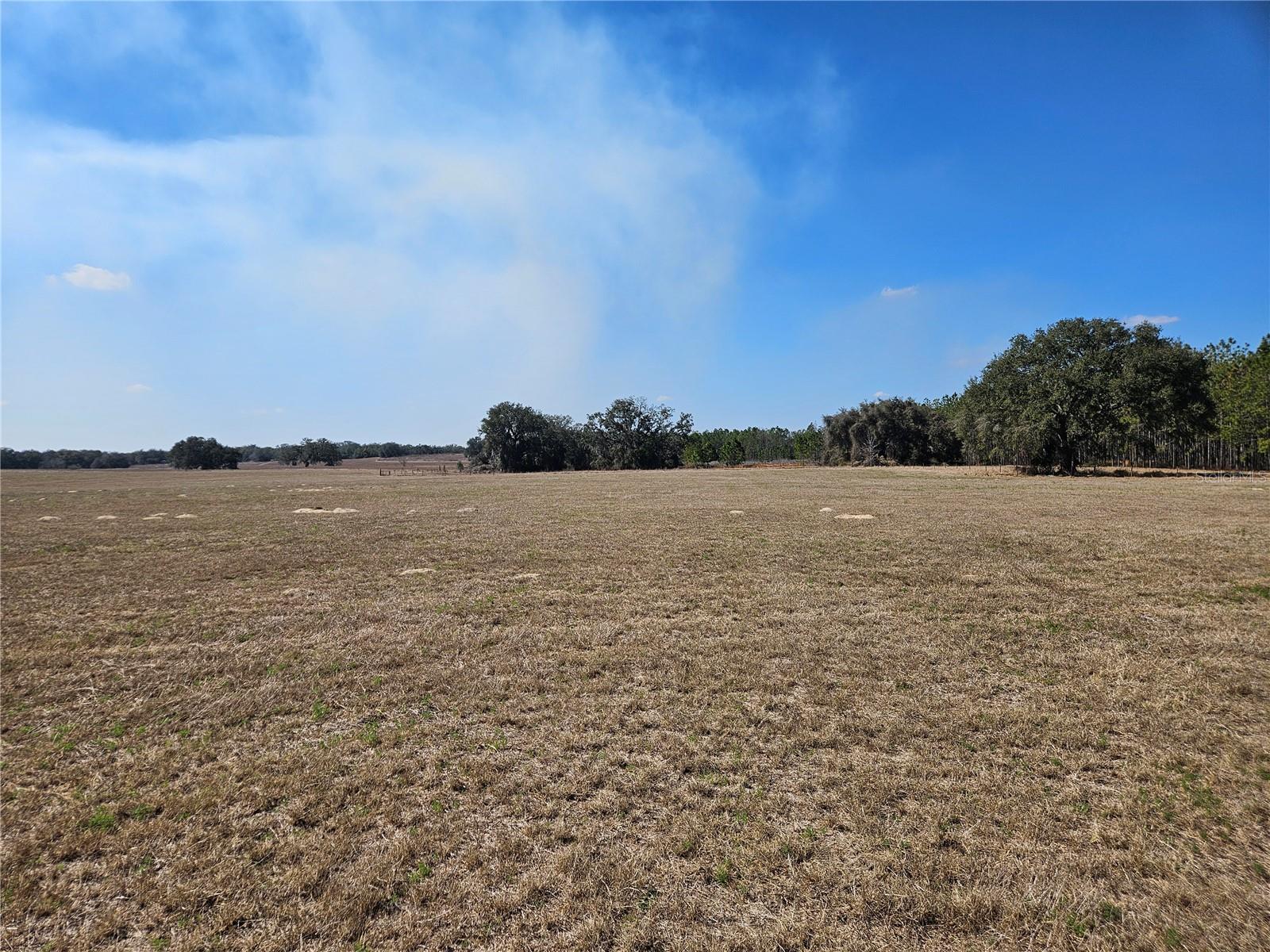 13308 Duck Lake Canal Rd Property Photo 45