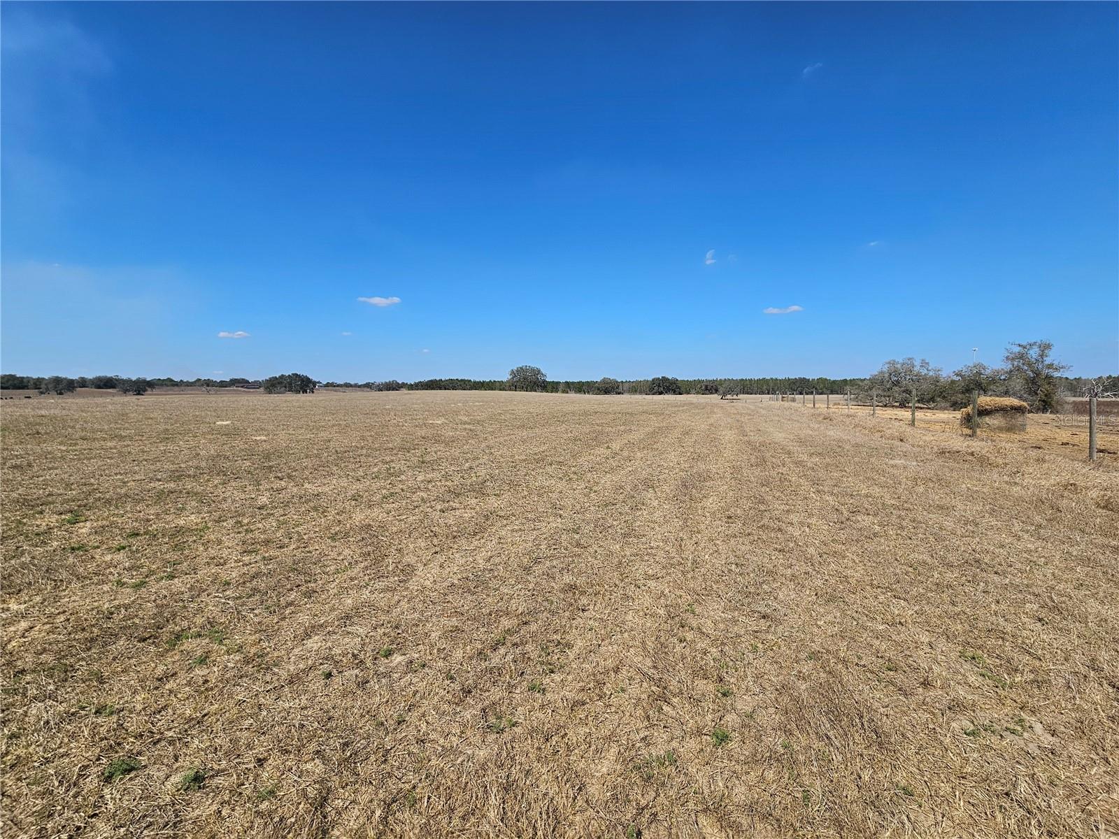 13308 Duck Lake Canal Rd Property Photo 51