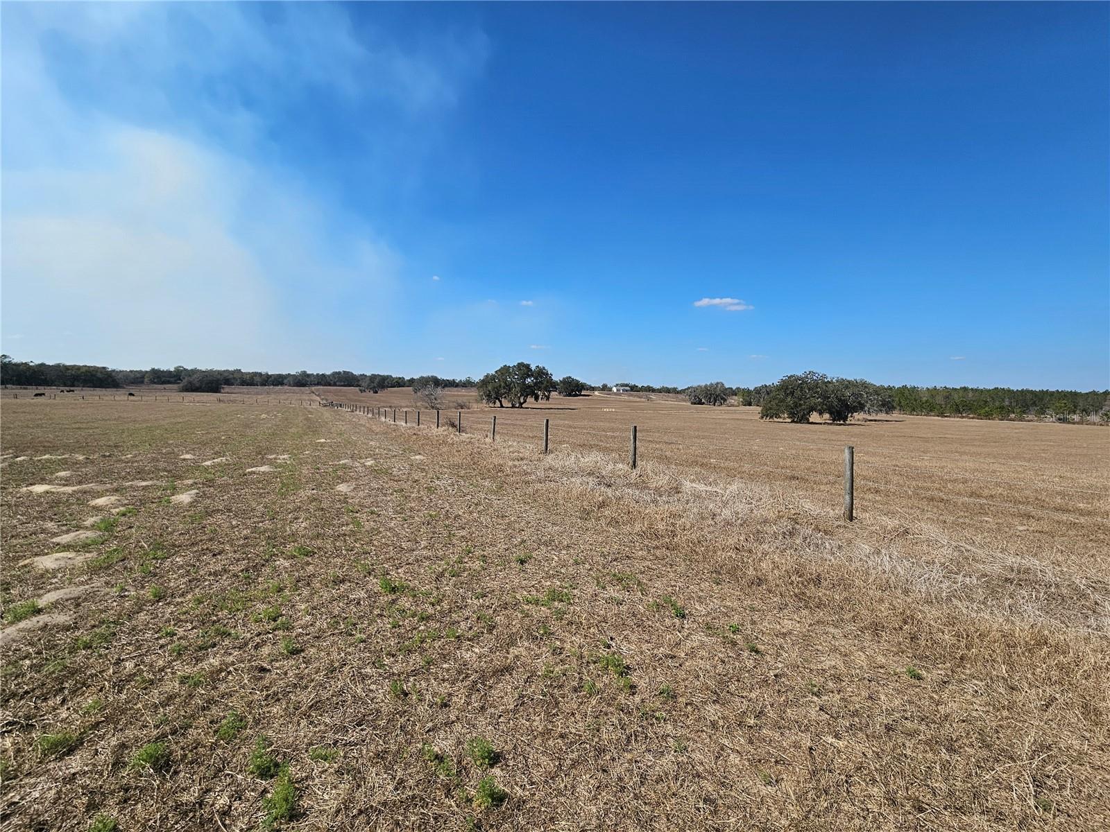 13308 Duck Lake Canal Rd Property Photo 52