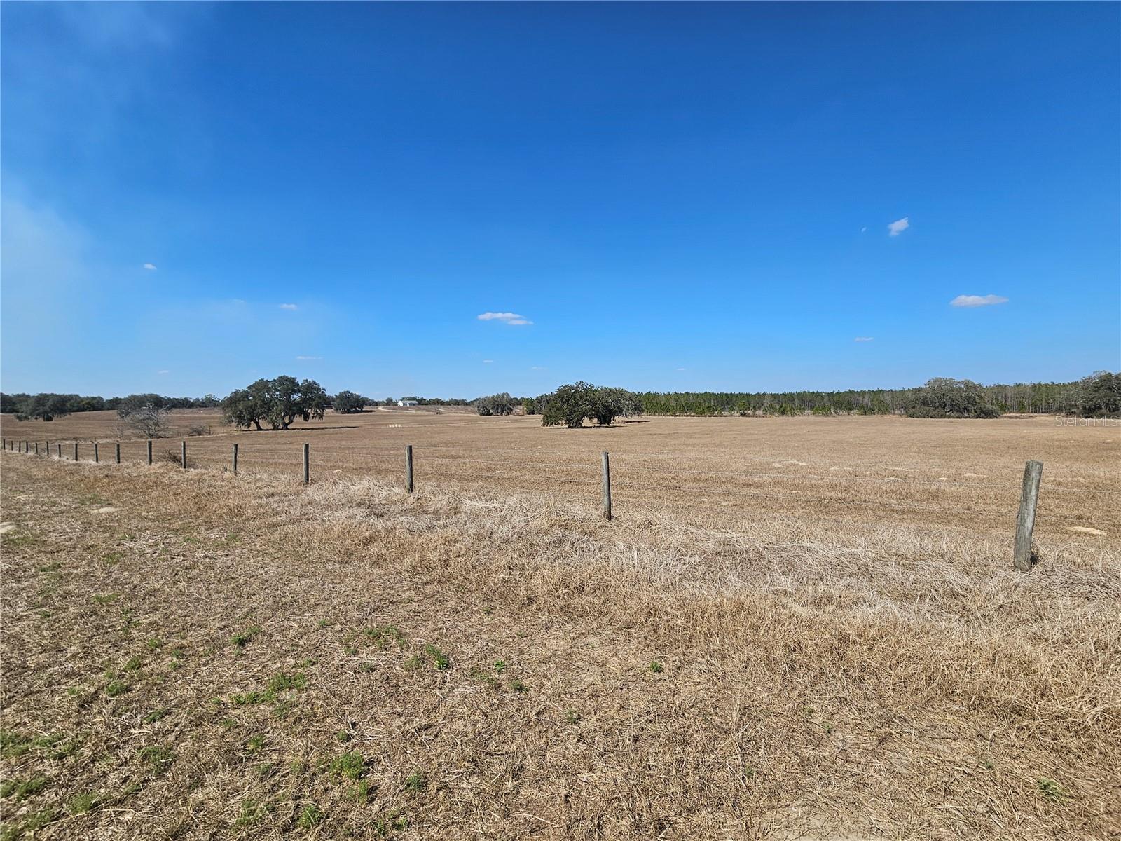13308 Duck Lake Canal Rd Property Photo 53