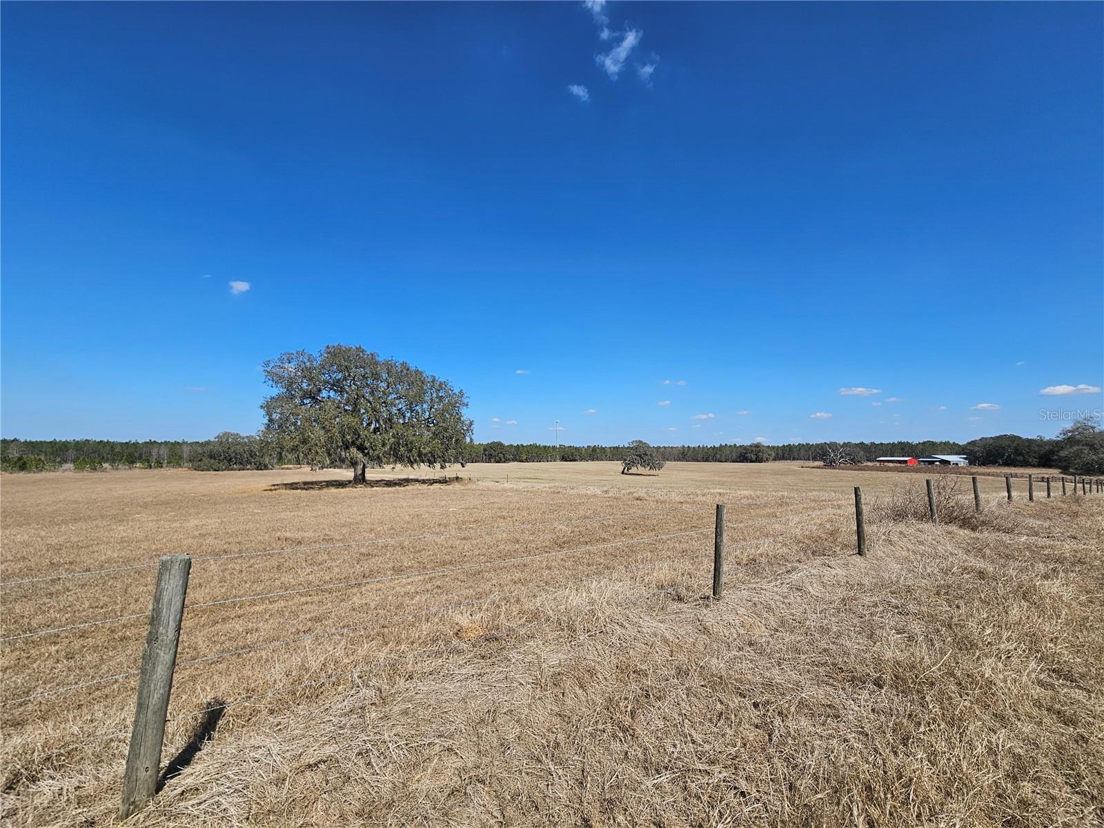 13308 Duck Lake Canal Rd Property Photo 54