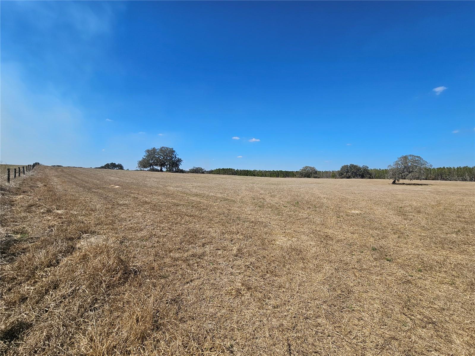13308 Duck Lake Canal Rd Property Photo 55