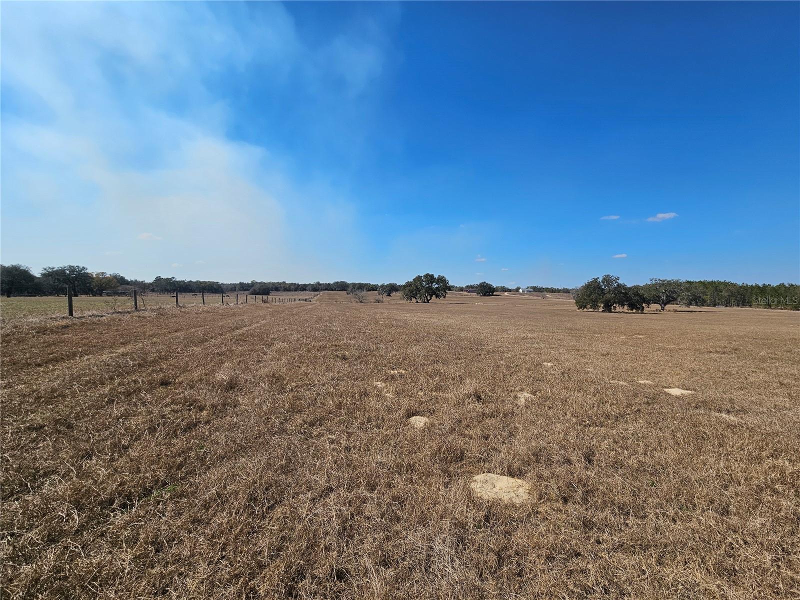 13308 Duck Lake Canal Rd Property Photo 56