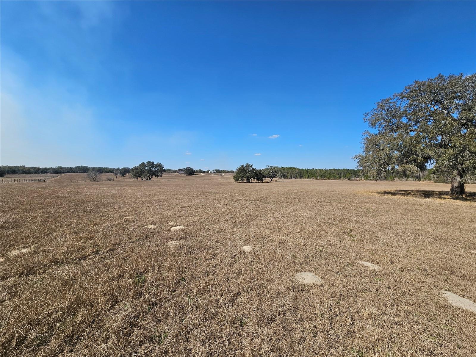 13308 Duck Lake Canal Rd Property Photo 57