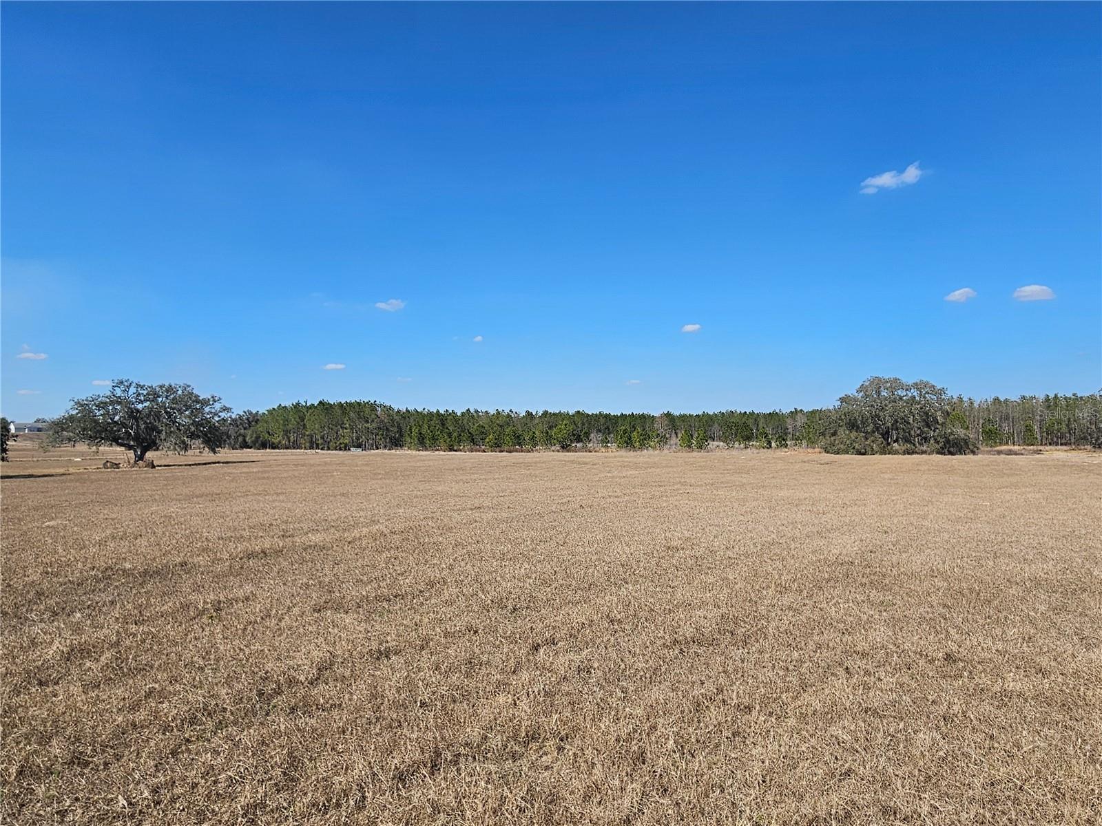 13308 Duck Lake Canal Rd Property Photo 58