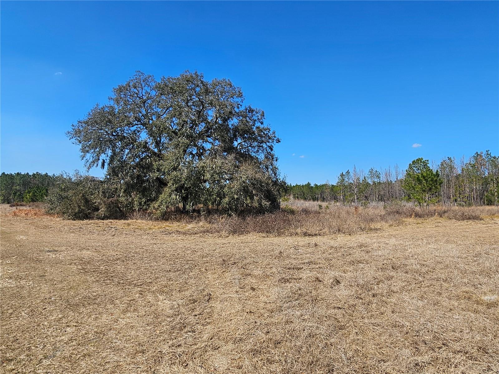 13308 Duck Lake Canal Rd Property Photo 59