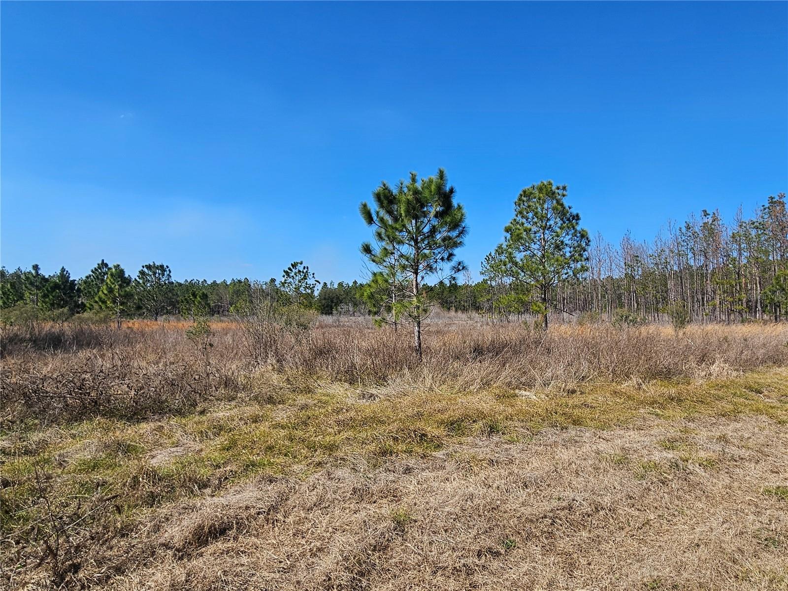 13308 Duck Lake Canal Rd Property Photo 60