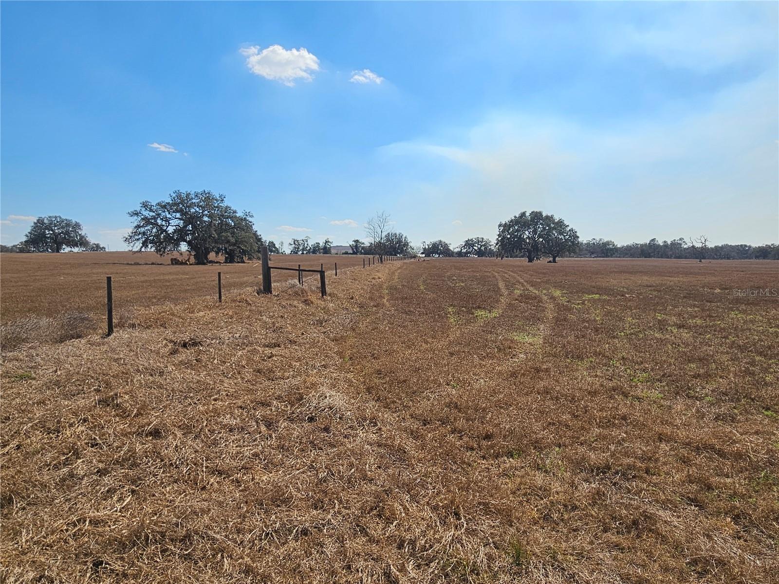 13308 Duck Lake Canal Rd Property Photo 61