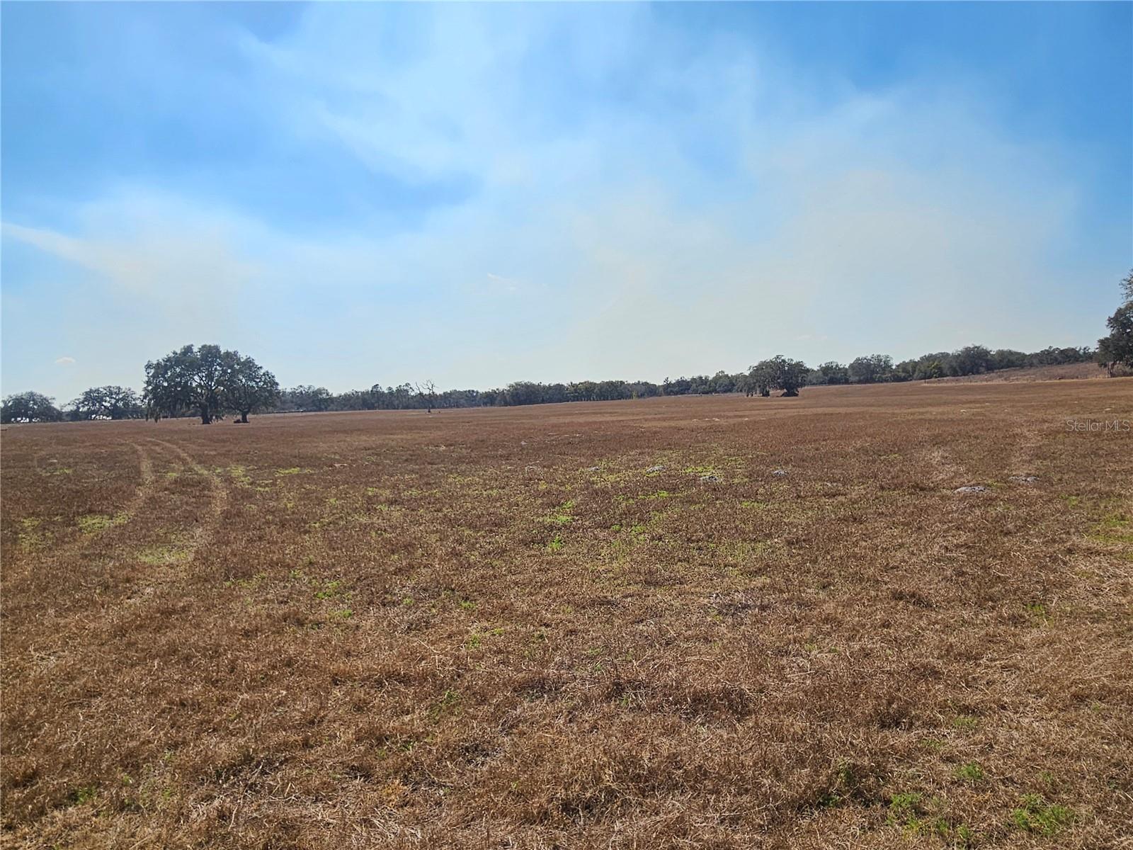 13308 Duck Lake Canal Rd Property Photo 62