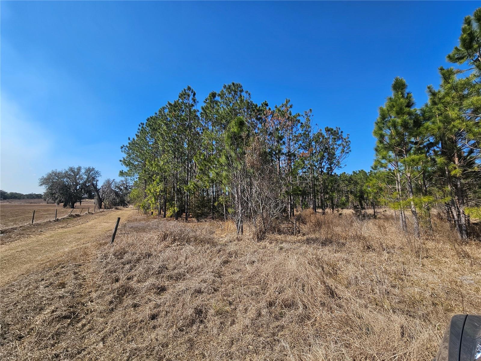 13308 Duck Lake Canal Rd Property Photo 63