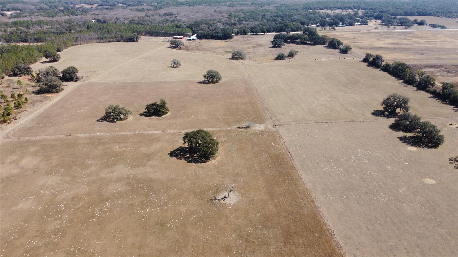 13308 Duck Lake Canal Rd Property Photo 79