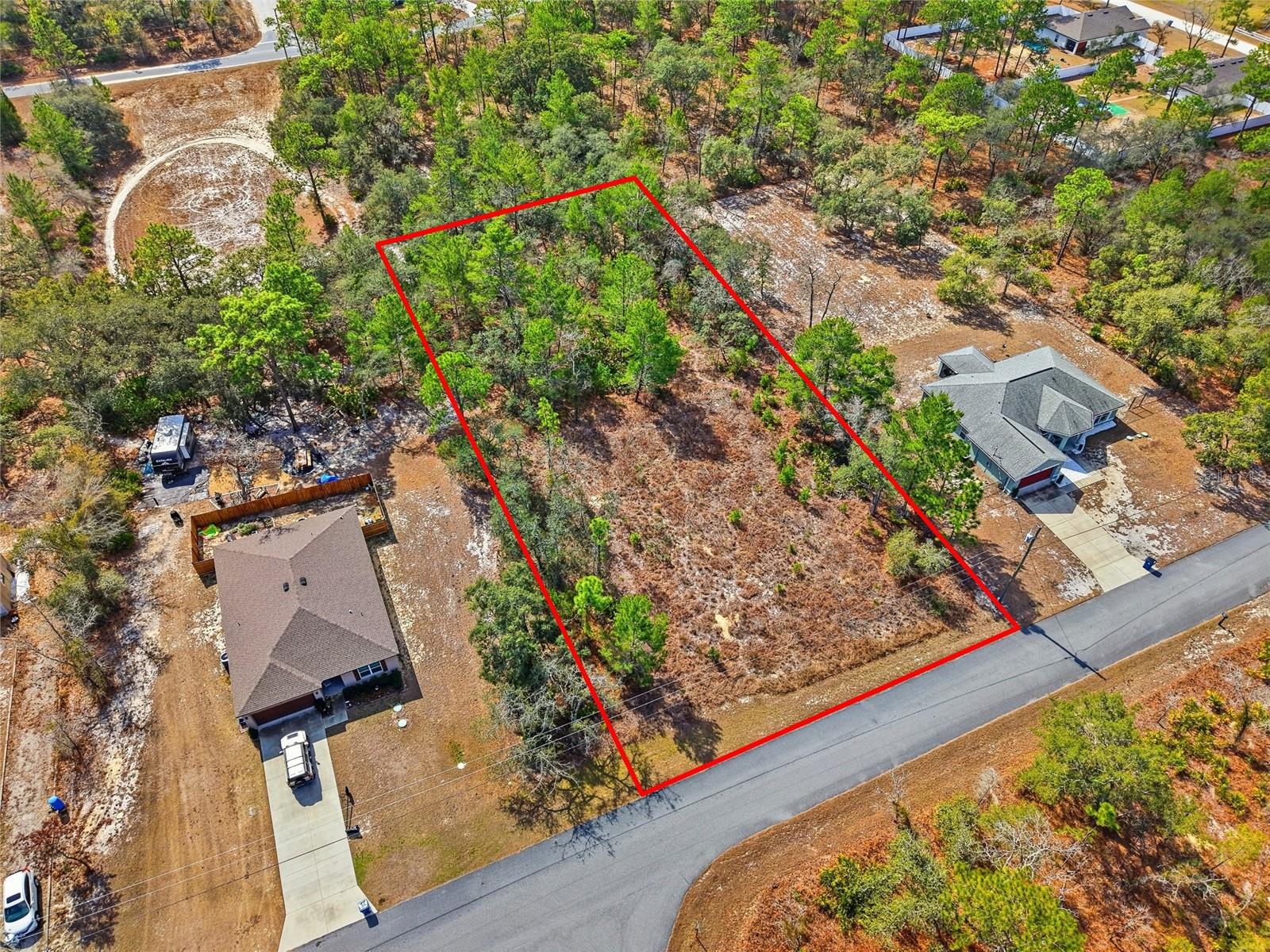 11263 Mexican Canary Ave Property Photo 2