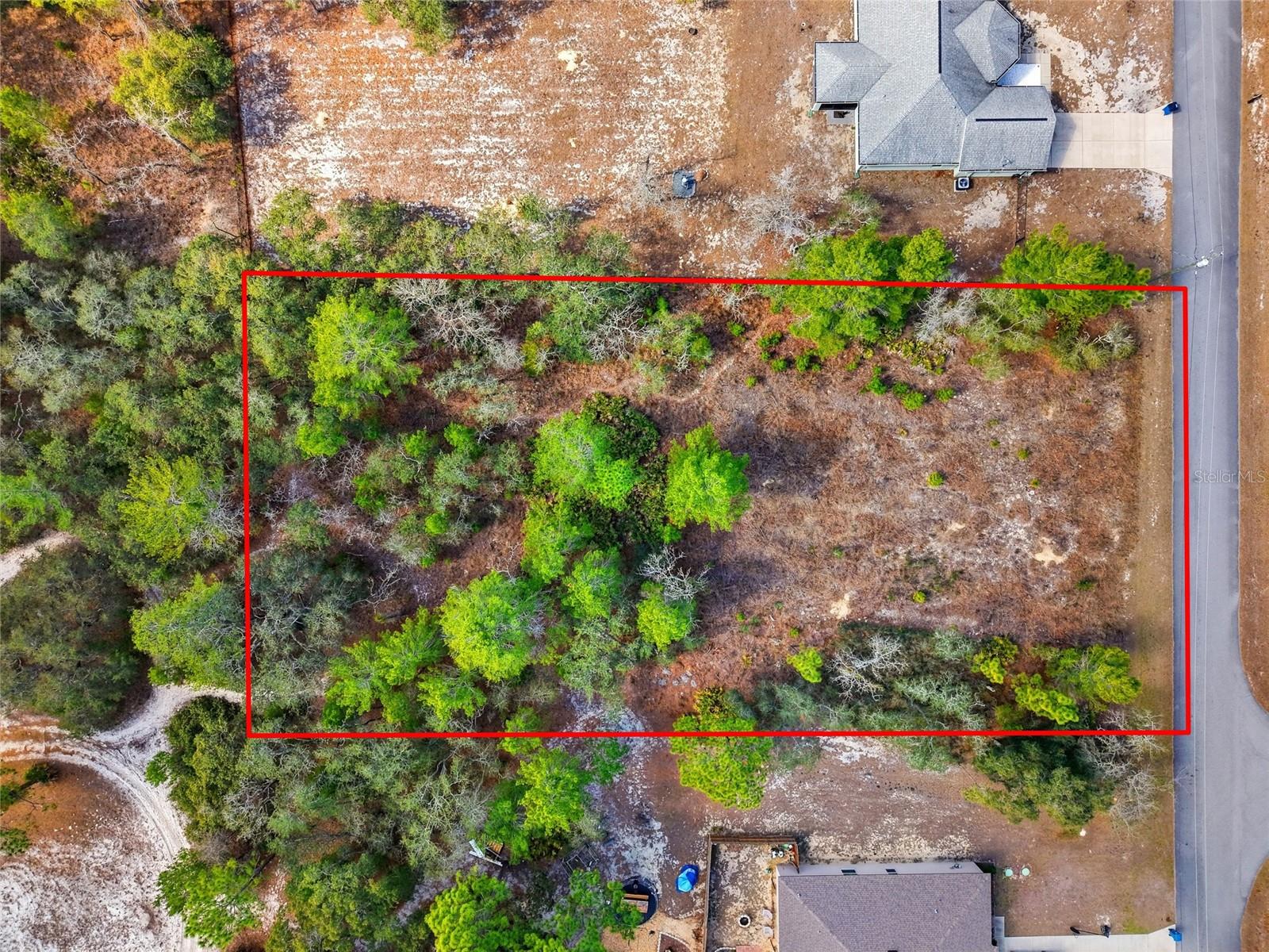 11263 Mexican Canary Ave Property Photo 3