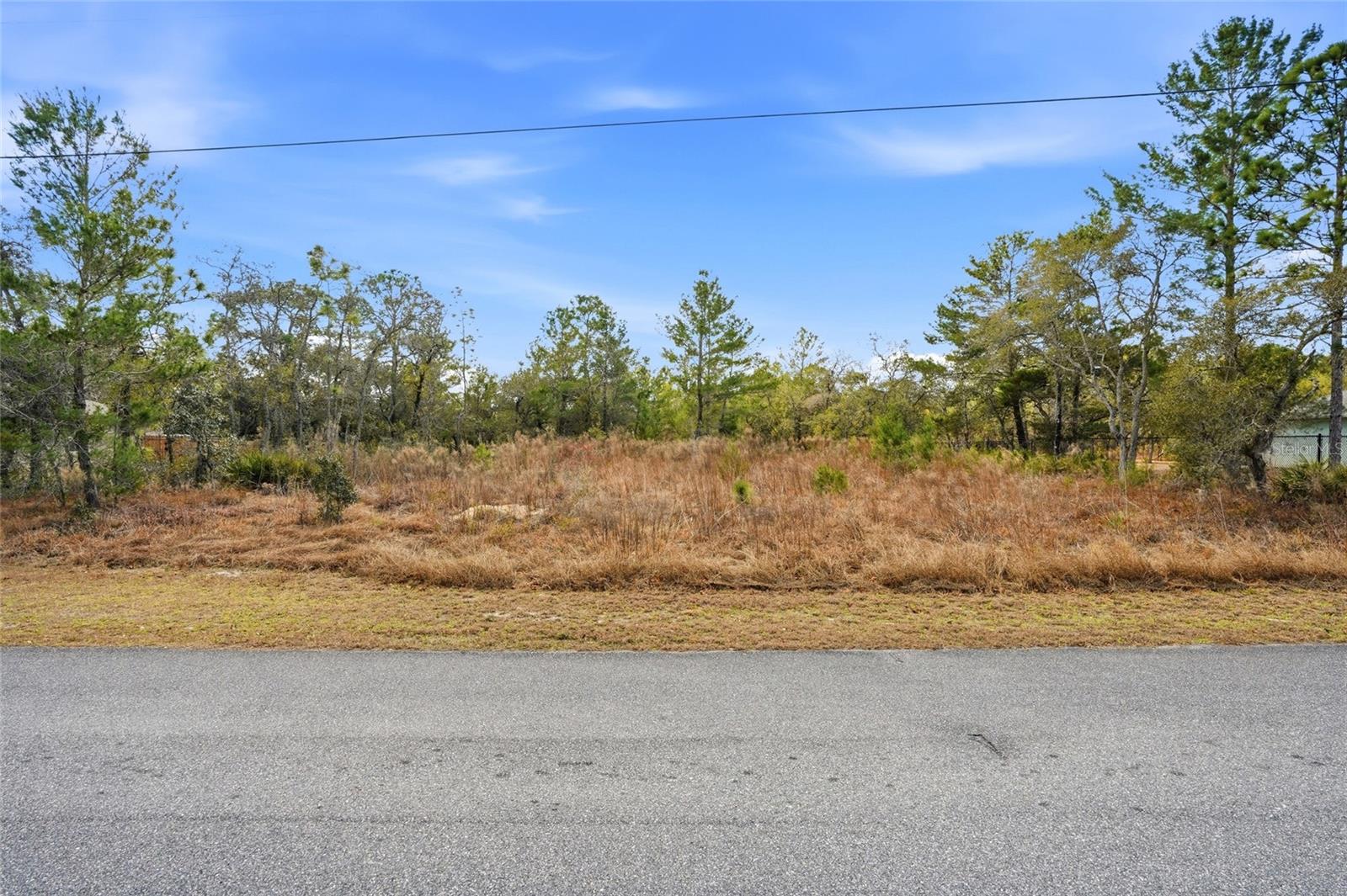 11263 Mexican Canary Ave Property Photo 4