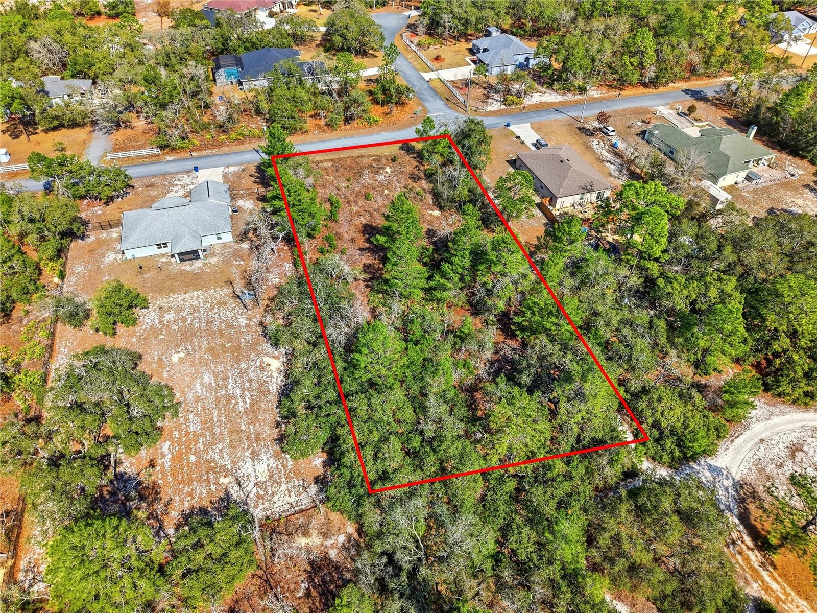 11263 Mexican Canary Ave Property Photo 8