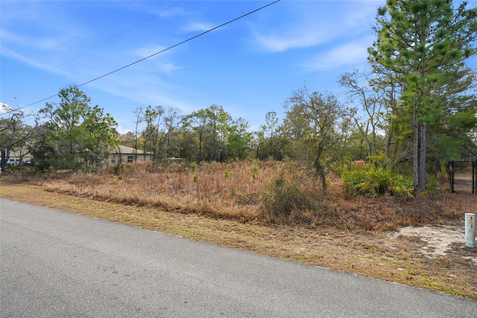 11263 Mexican Canary Ave Property Photo 14
