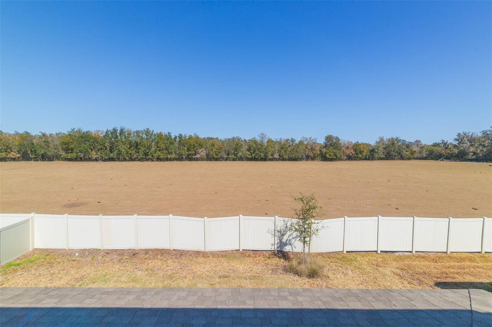 3044 Forest Meadow Ave Property Photo 51