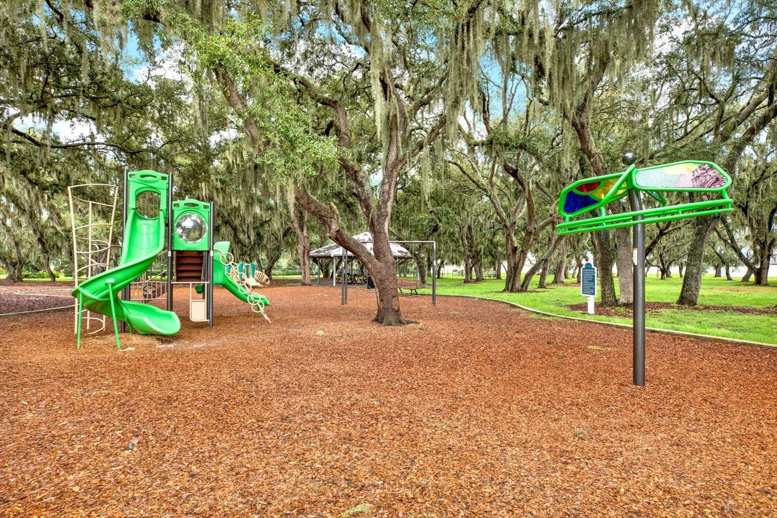 13113 Wildflower Meadow Dr Property Photo 75