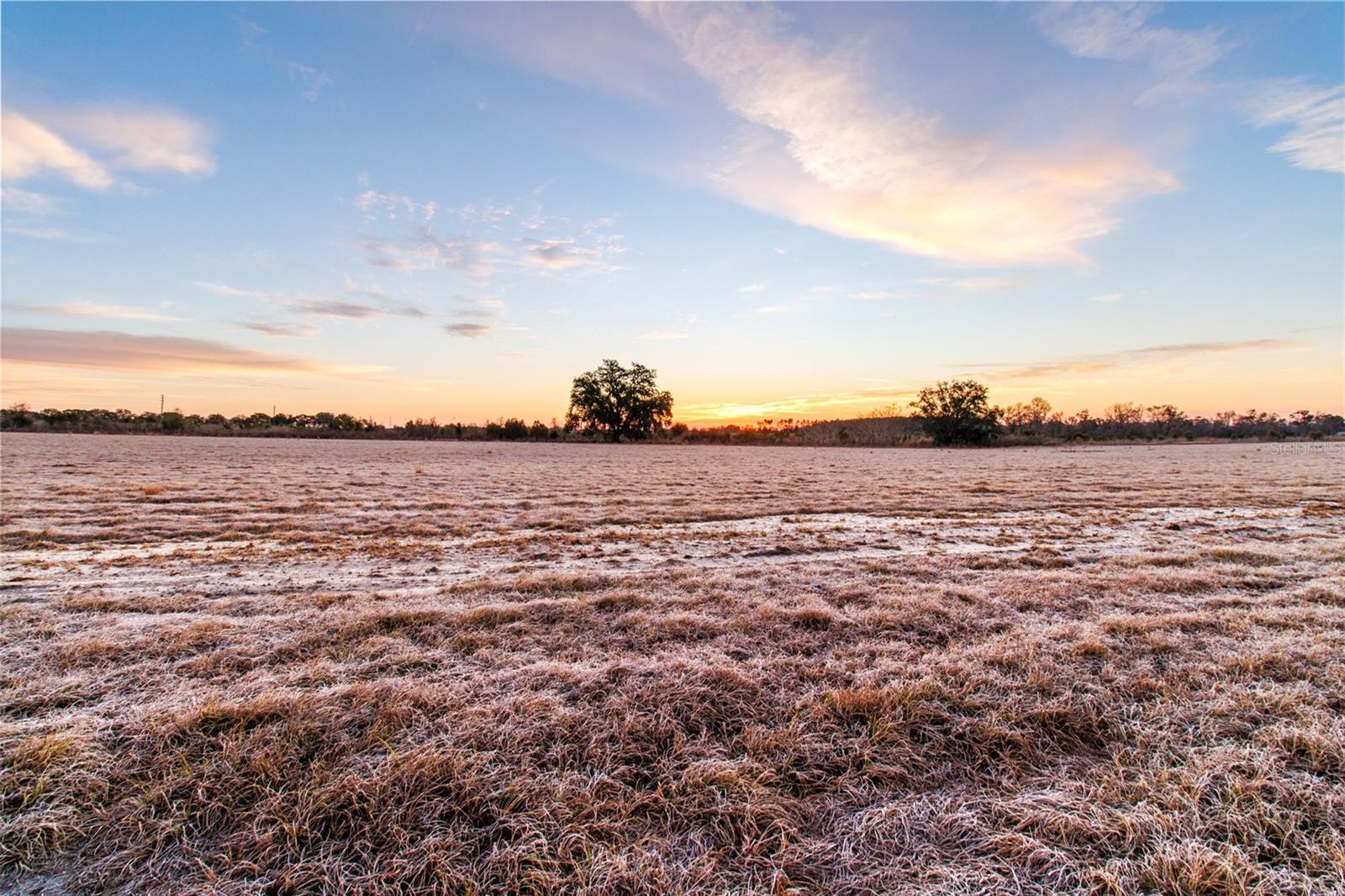 4240 Royal Sky (lot 6) Ct Property Photo 3
