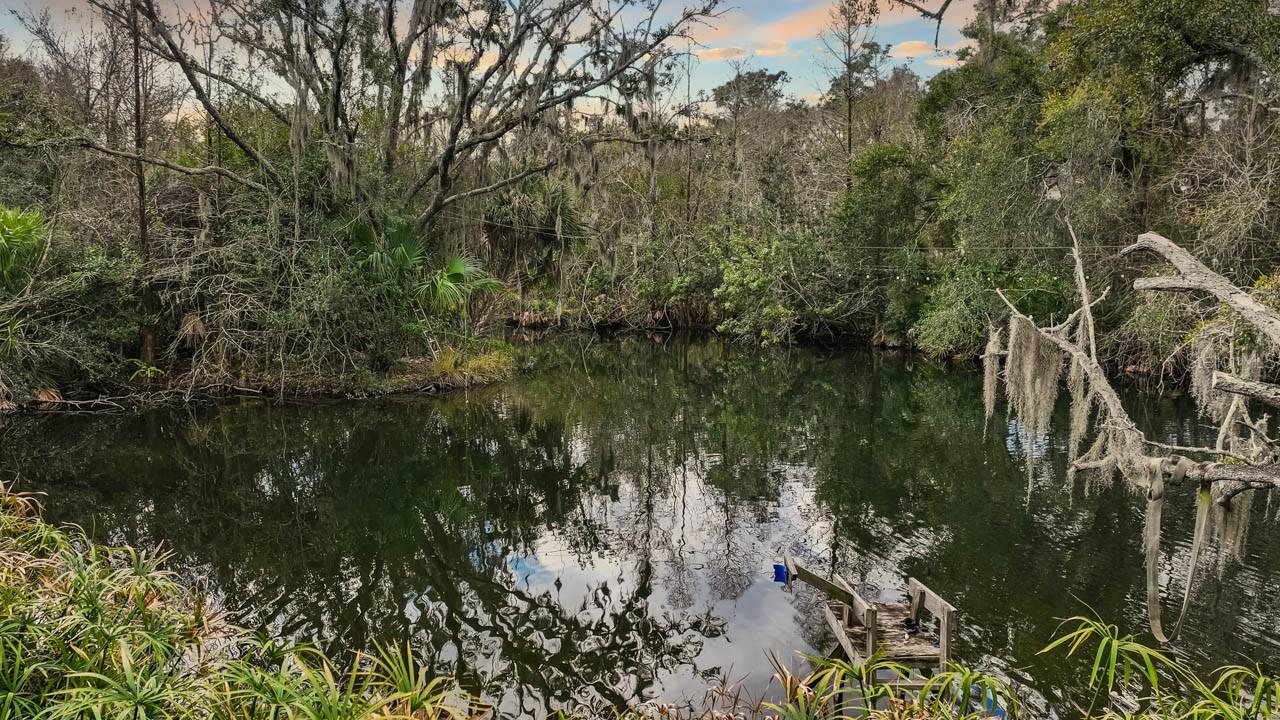 12730 Bullfrog Creek Rd Property Photo 11