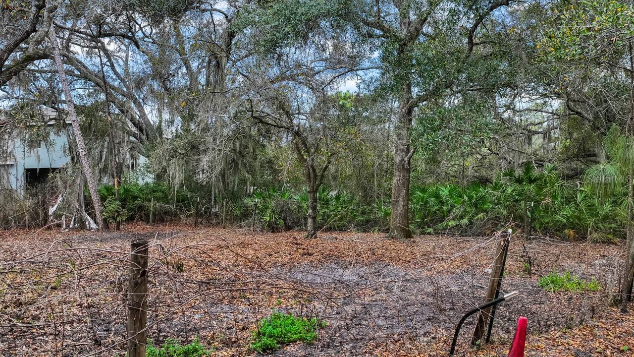 12730 Bullfrog Creek Rd Property Photo 15