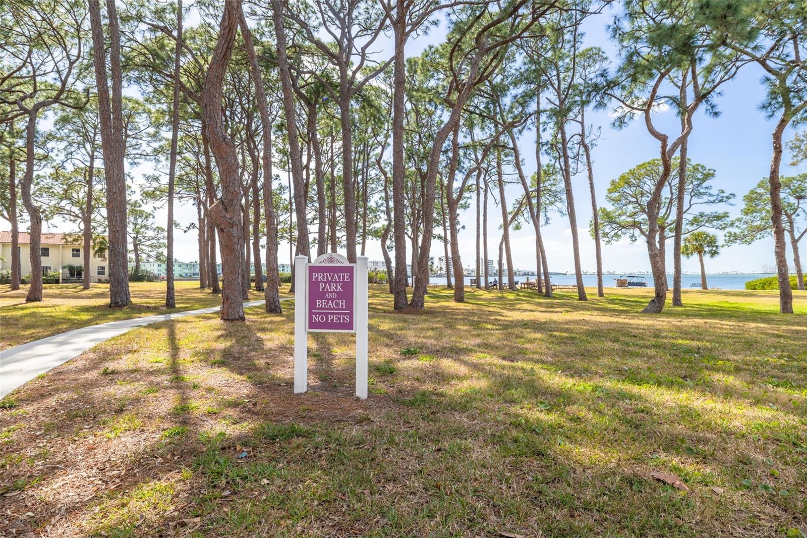 2700 Bayshore Blvd #5302 Property Photo 29