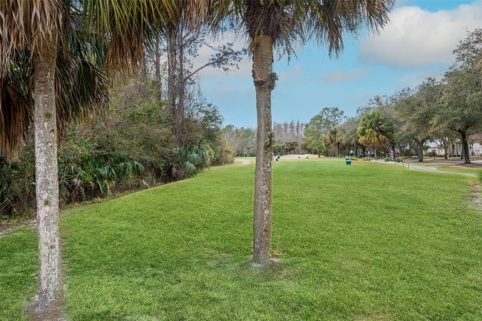 18110 Turtle Beach Way Property Photo 45
