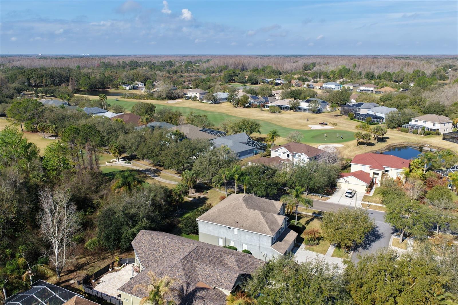 18110 Turtle Beach Way Property Photo 51