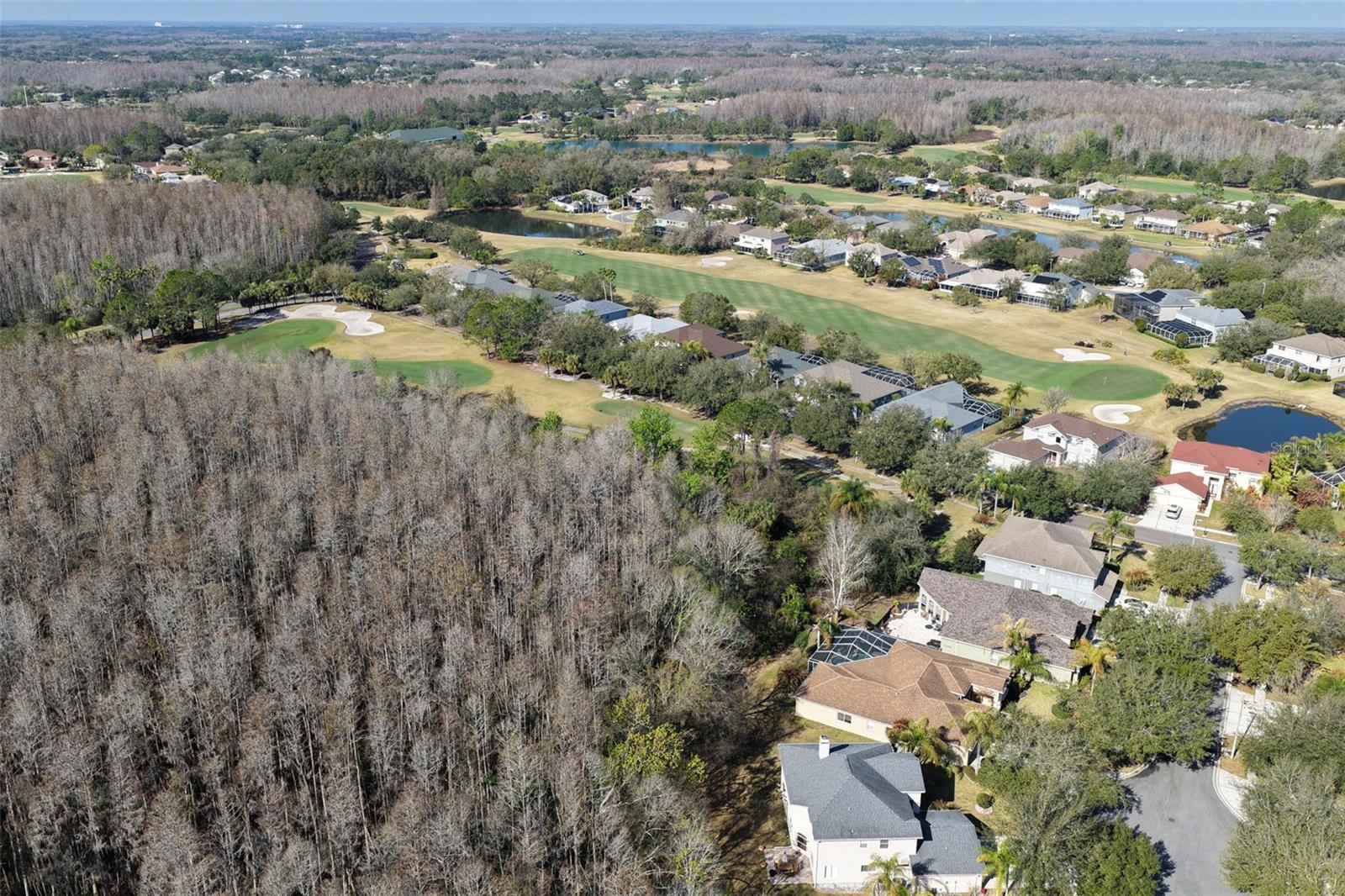 18110 Turtle Beach Way Property Photo 52