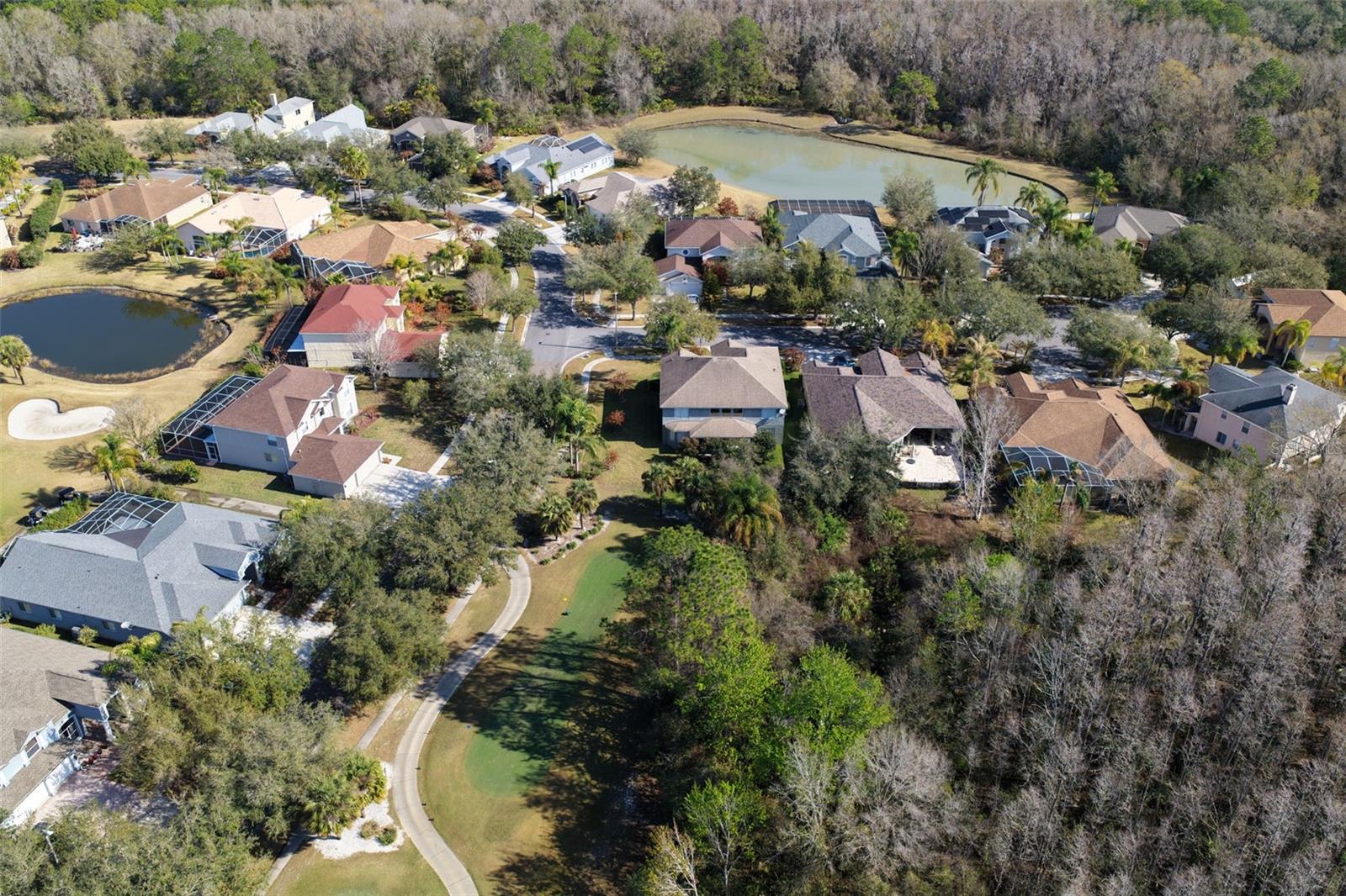 18110 Turtle Beach Way Property Photo 53