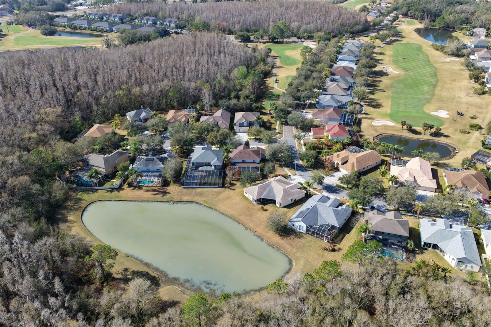 18110 Turtle Beach Way Property Photo 55