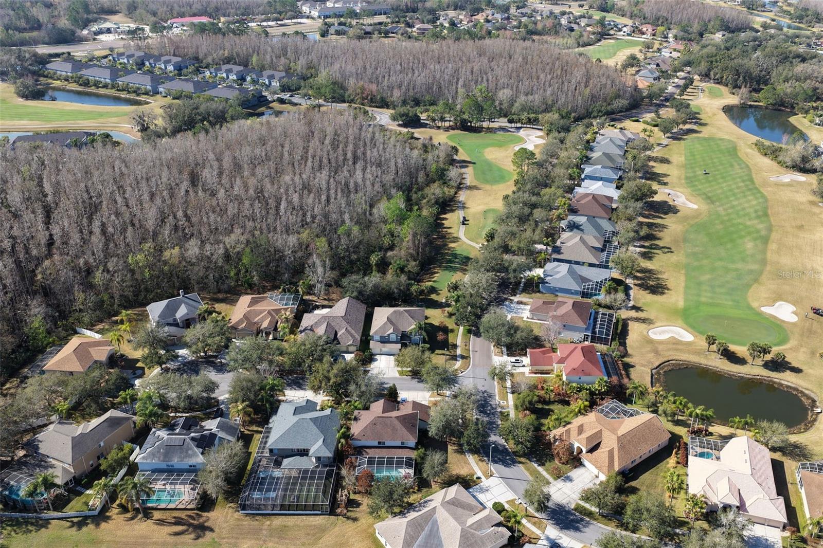 18110 Turtle Beach Way Property Photo 56
