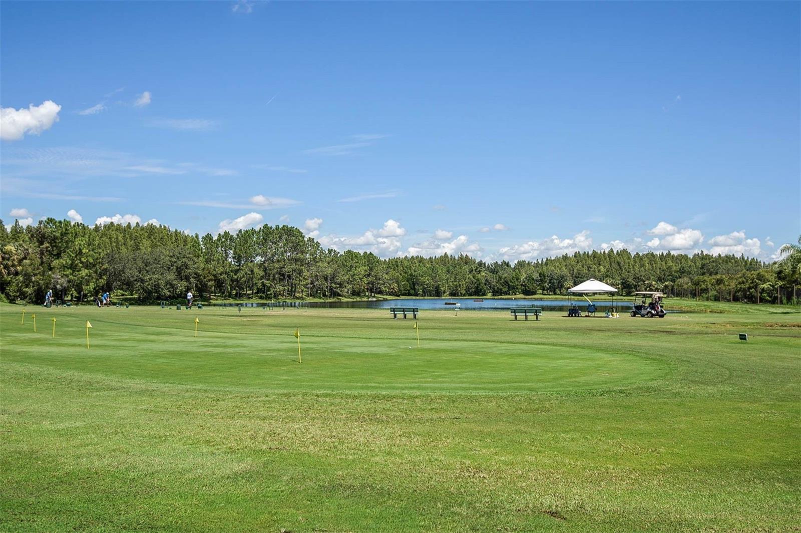 18110 Turtle Beach Way Property Photo 66