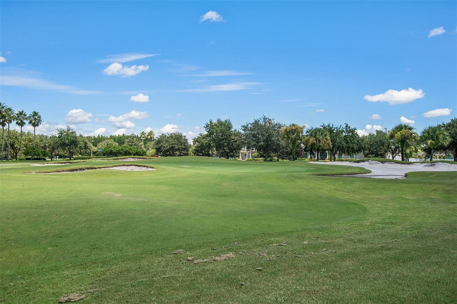 18110 Turtle Beach Way Property Photo 68