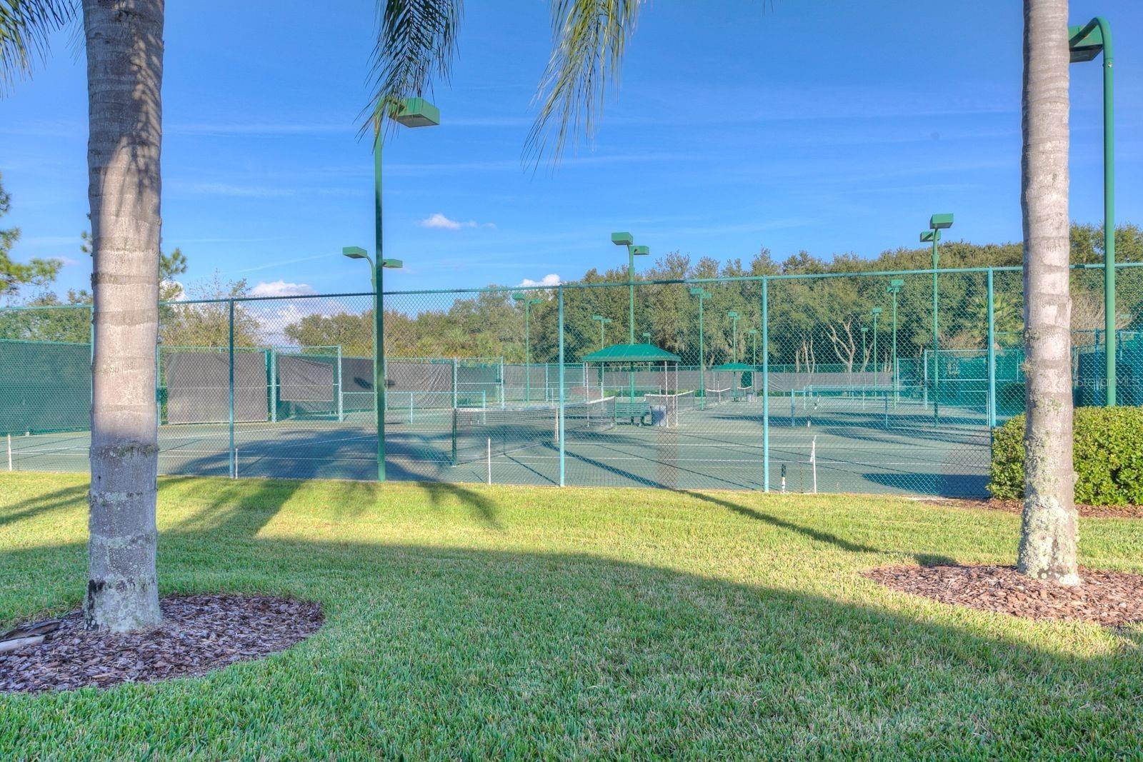 18110 Turtle Beach Way Property Photo 77