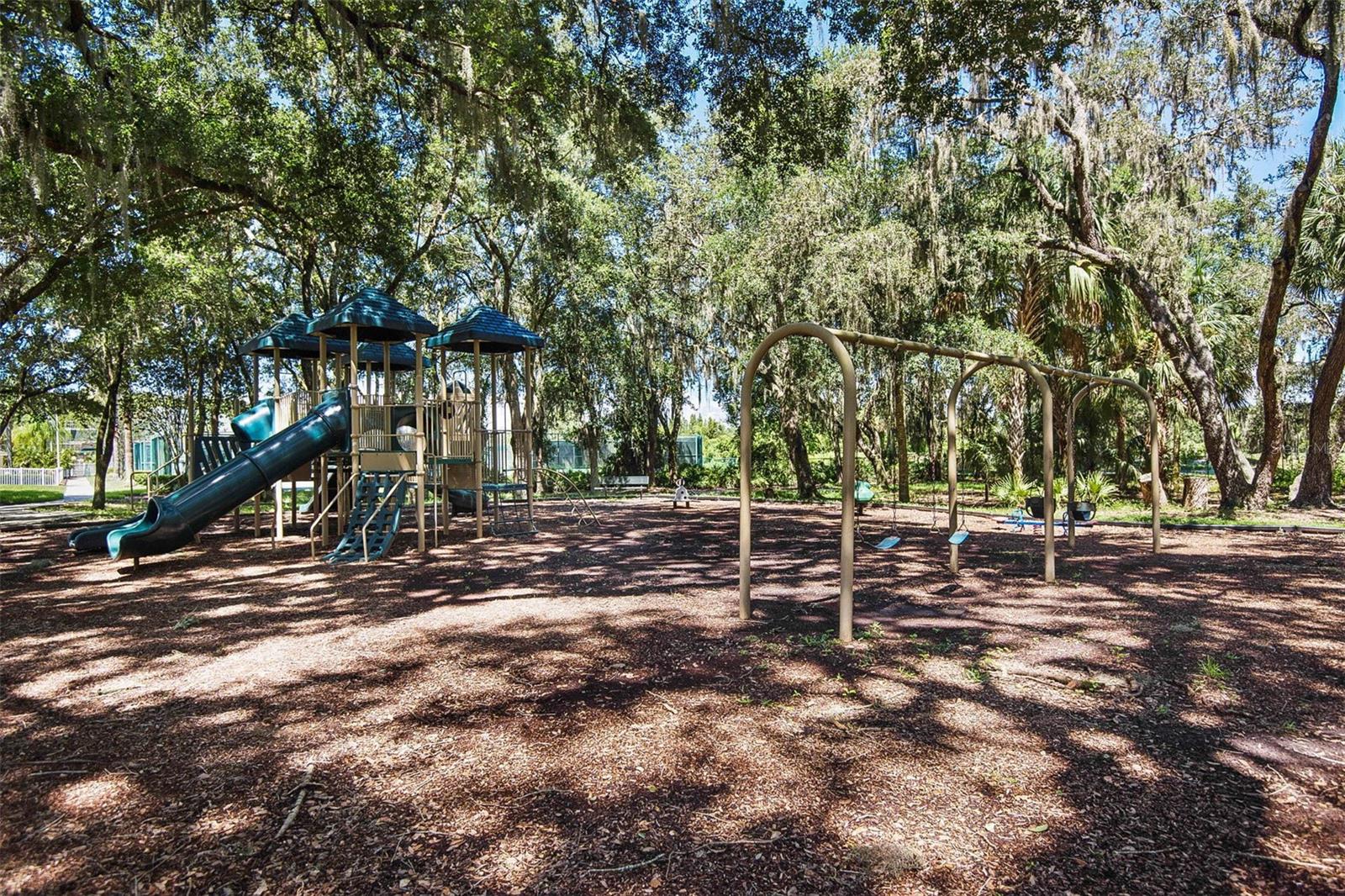 18110 Turtle Beach Way Property Photo 79