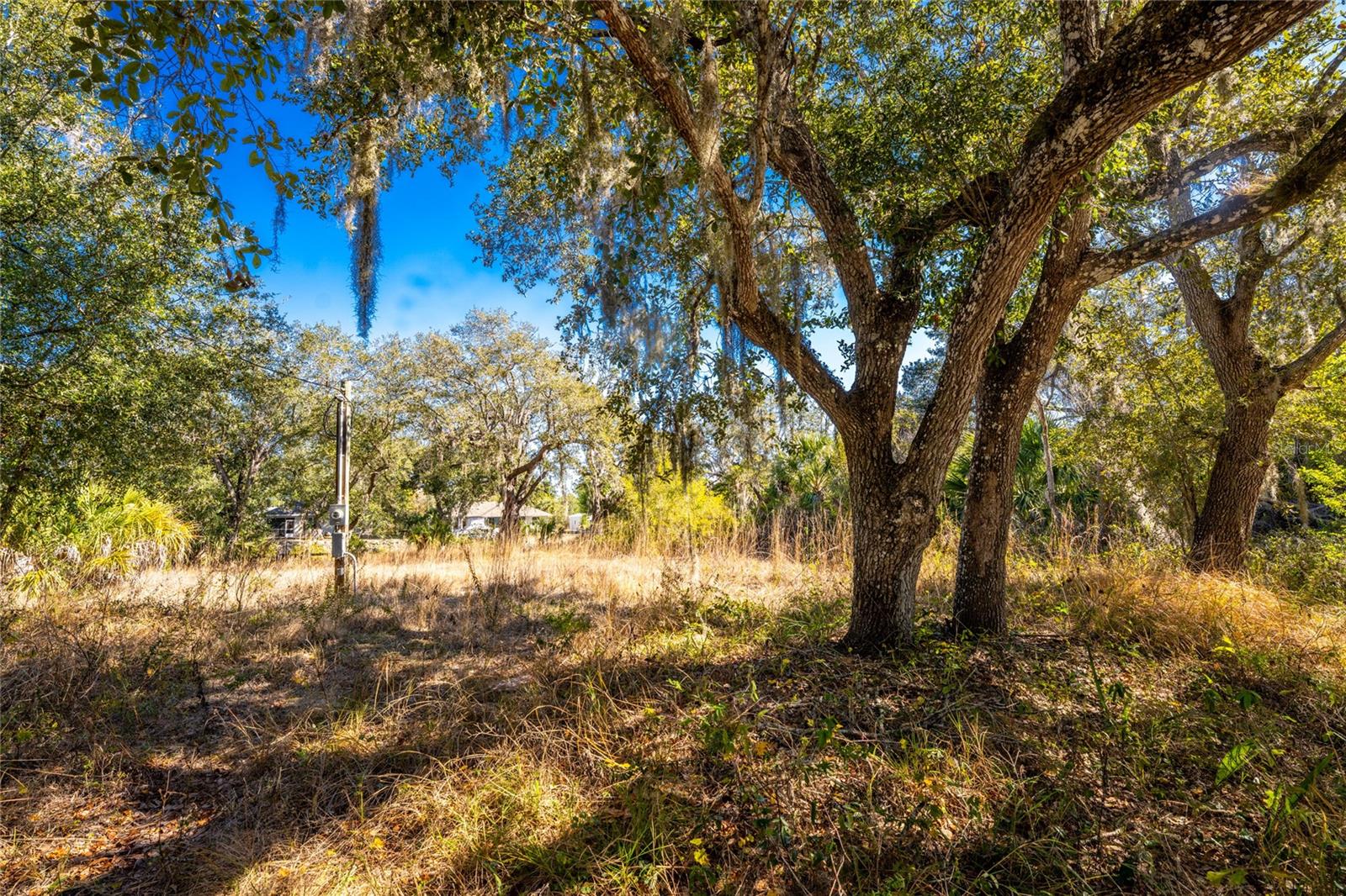 27362 SAN CARLOS DR Property Photo 1