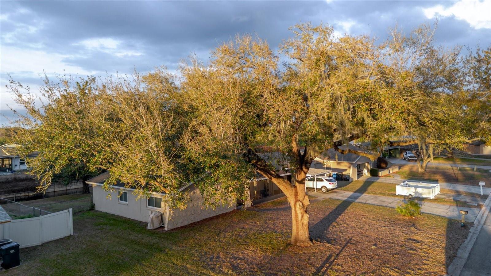 1210 Lady Elaine Dr Property Photo 12